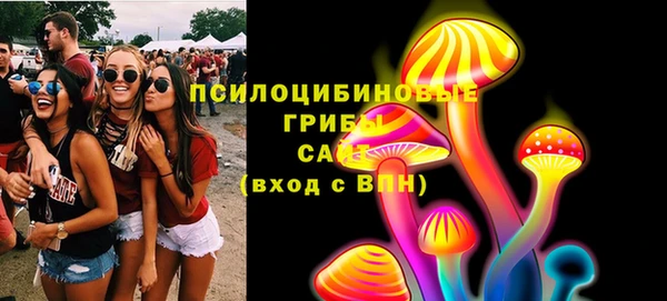 мдпв Лихославль