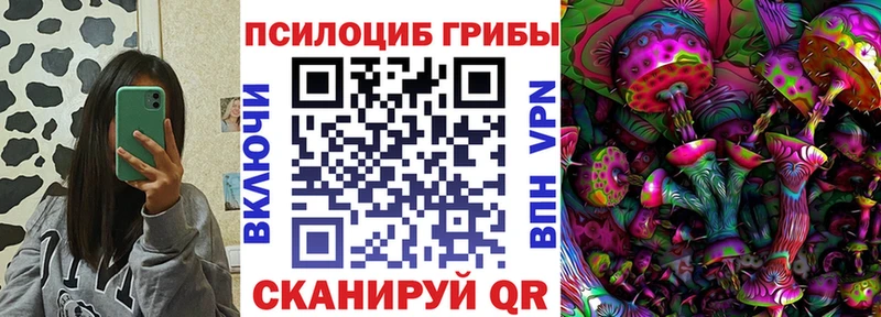 купить закладку  Чулым  Галлюциногенные грибы мицелий 